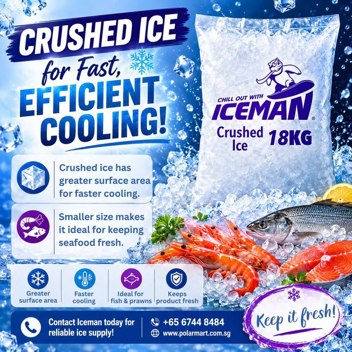 Iceman Singapore